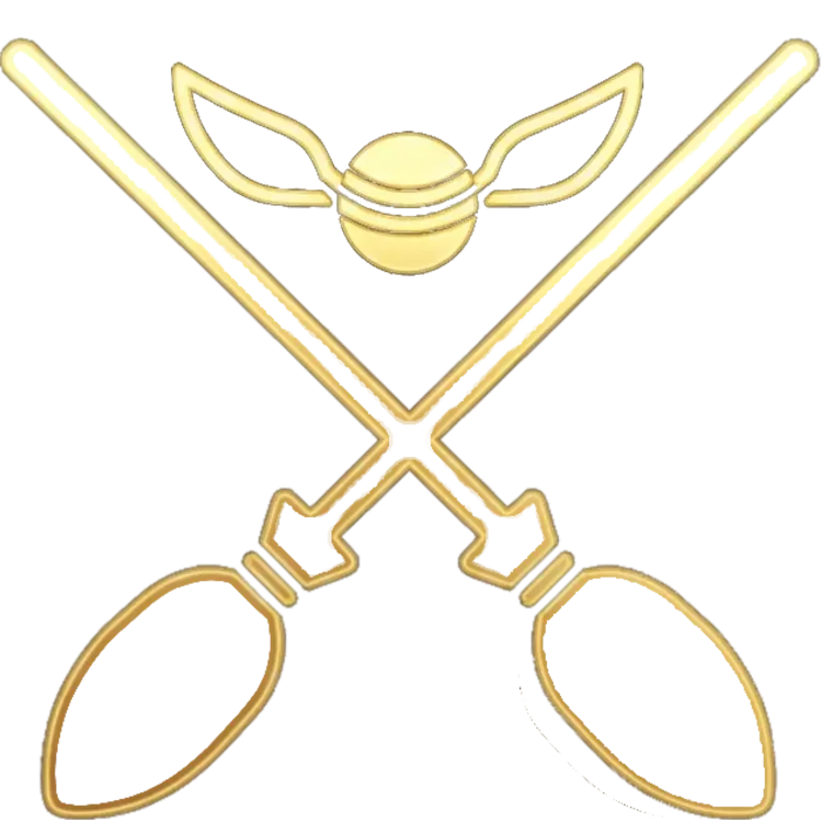quidditch icon